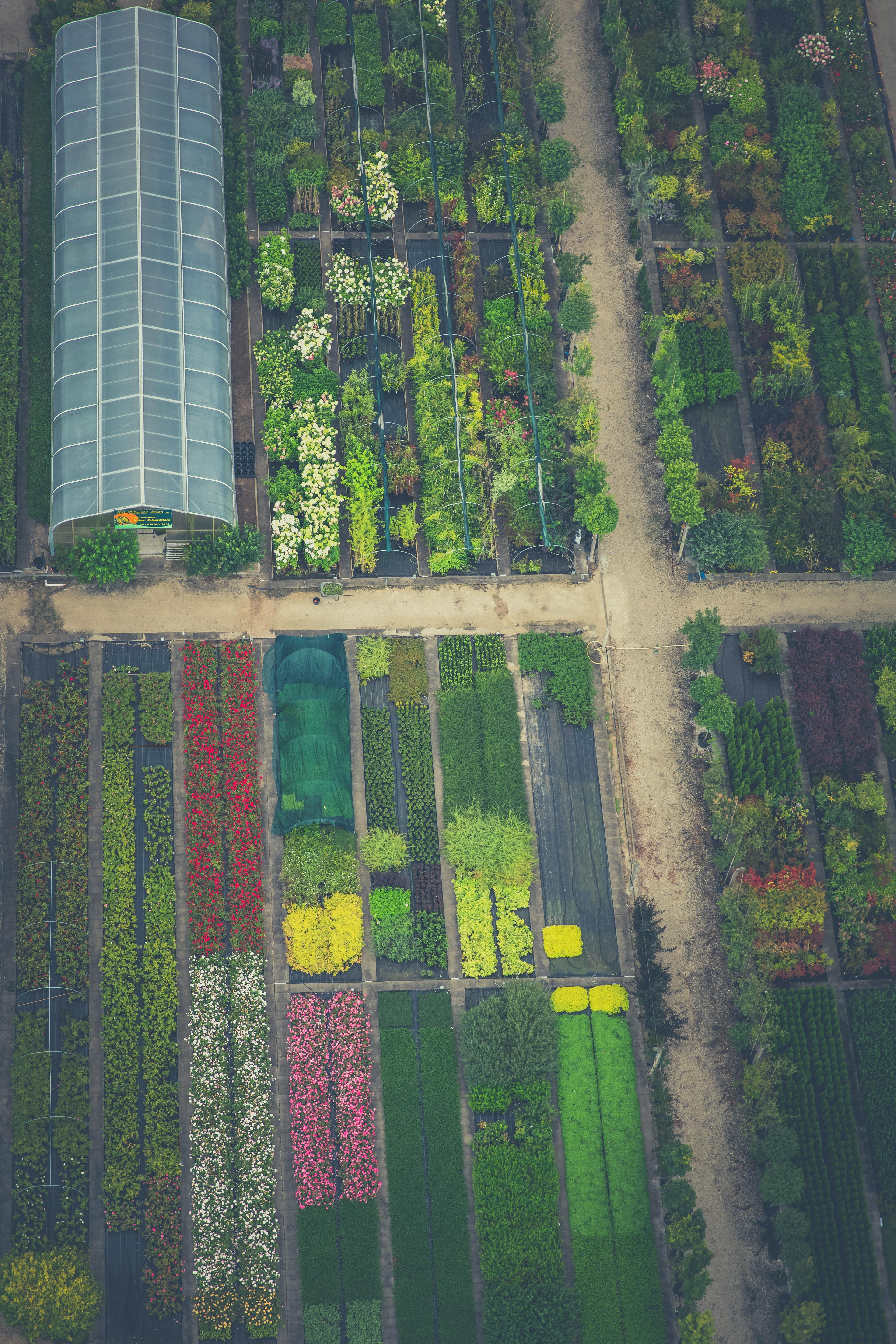 Schöne Gartenplanung