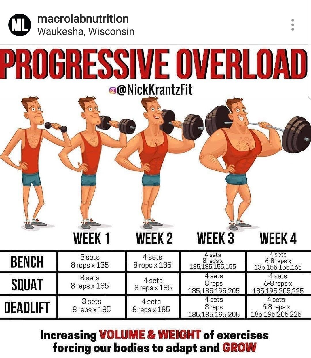 Progressive Overload Beispiel