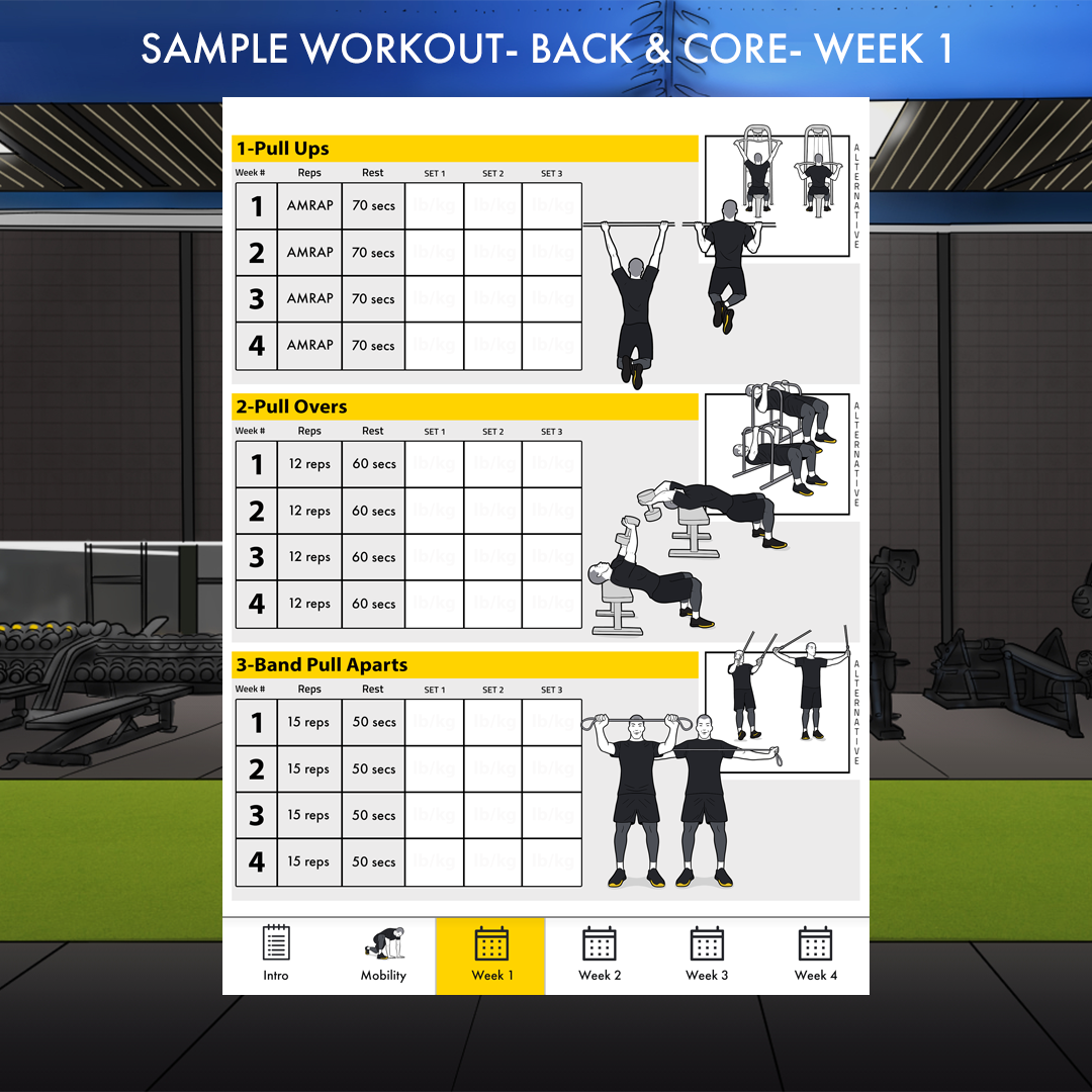 Trainingsplan Muskelaufbau PDF Beispiel