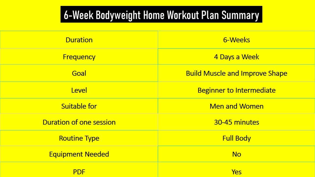 Trainingsplan Muskelaufbau PDF