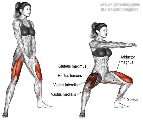 Beinpresse Übung für den Vastus Medialis